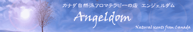 A}es[̓XuGWF_v